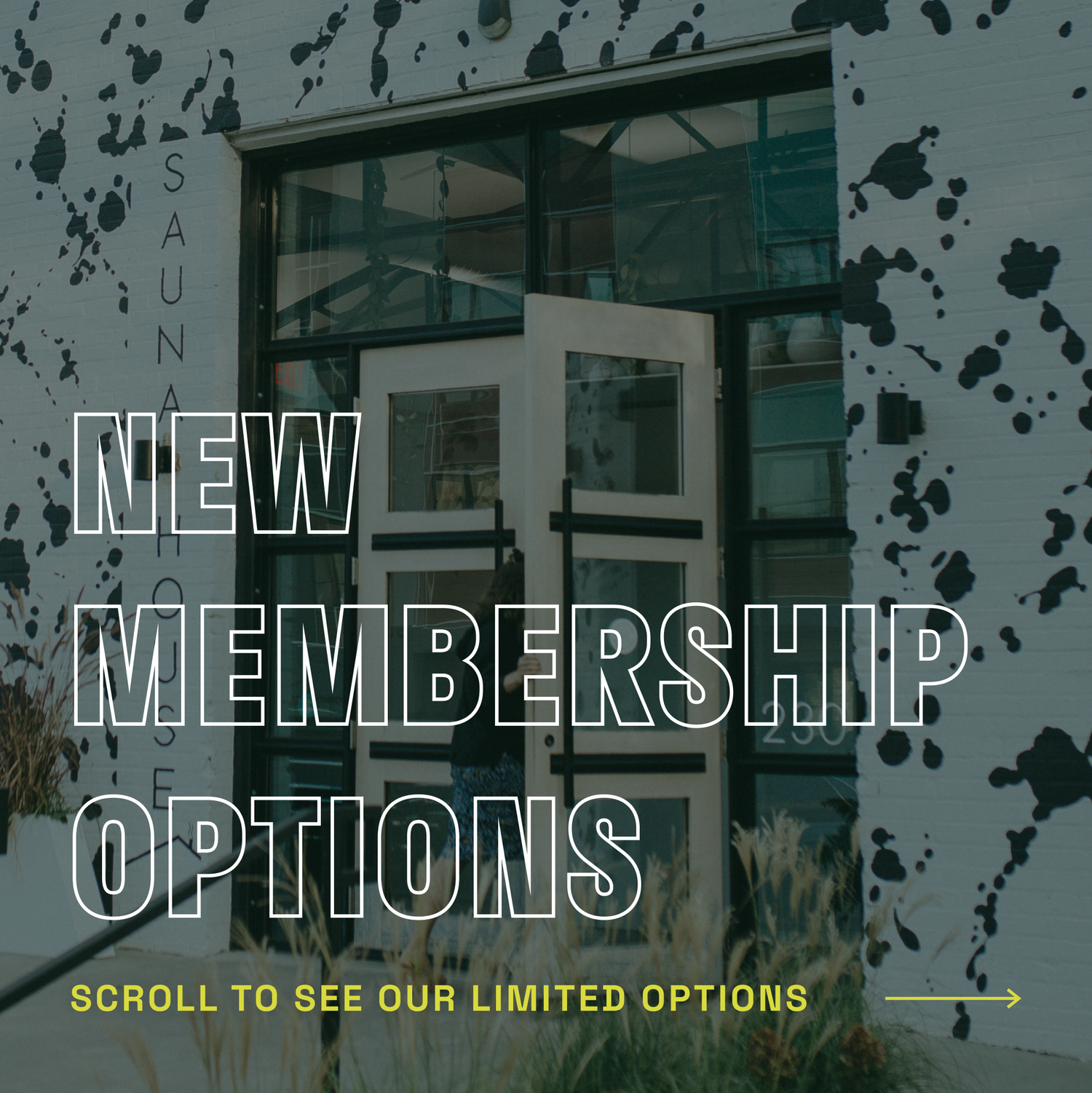 Sauna House Asheville Membership Options